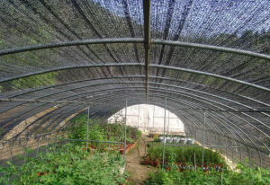 HDPE Greenhouse Netting Sun Shade Netting 3x50m...